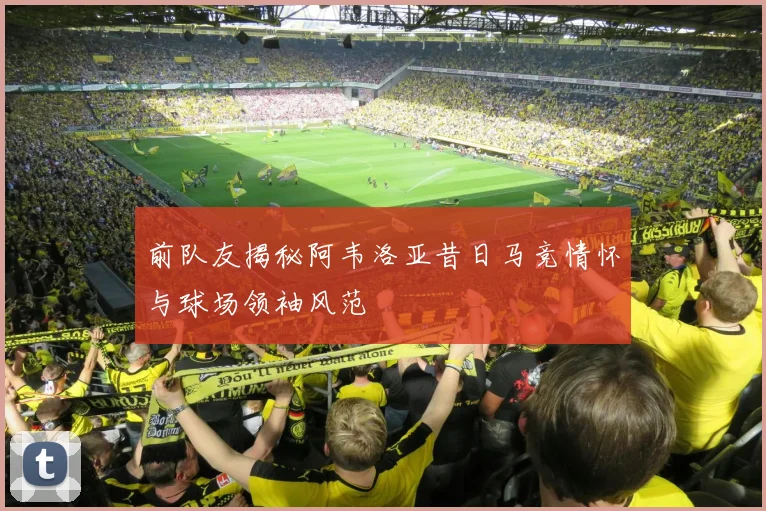 前队友揭秘阿韦洛亚昔日马竞情怀与球场领袖风范