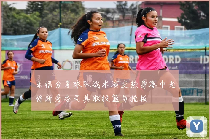 乐福分享球队战术演变热身赛中老将新秀各司其职投篮与抢板